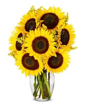 Stunning Sunflowers Bouquet